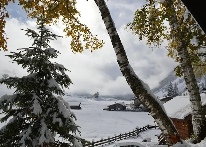 Dom wakacyjny Schareck *